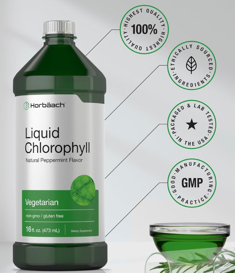 Horbäach Chlorophyll Liquid Drops | 100mg | 473ML